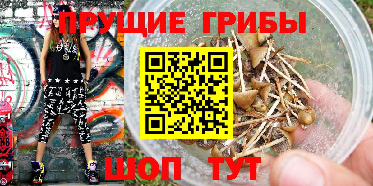 Галлюциногенные грибы Magic Shrooms Дзержинский