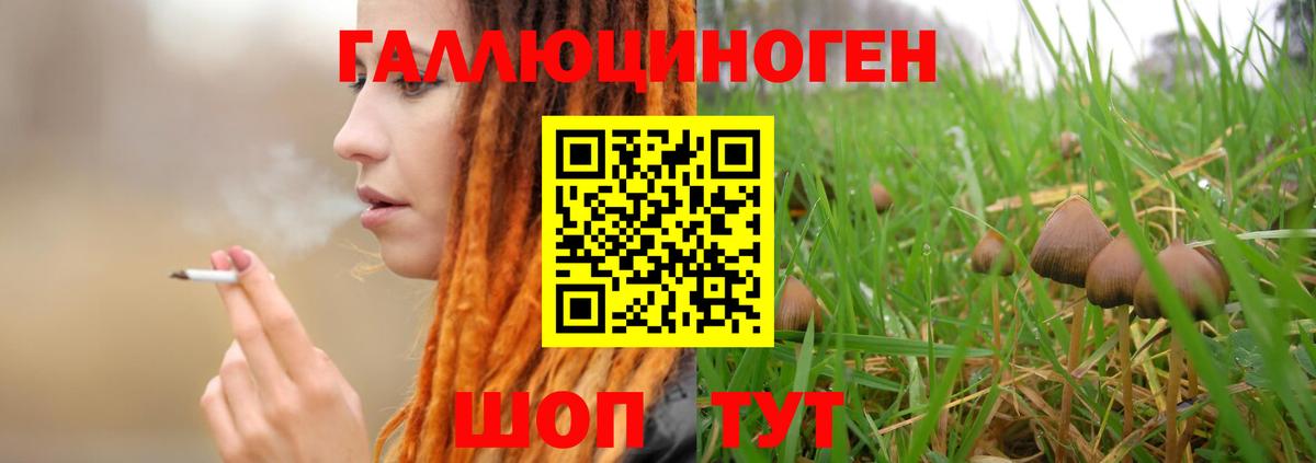 Дзержинский  Псилоцибиновые грибы GOLDEN TEACHER  купить закладку  Вход с VPN 